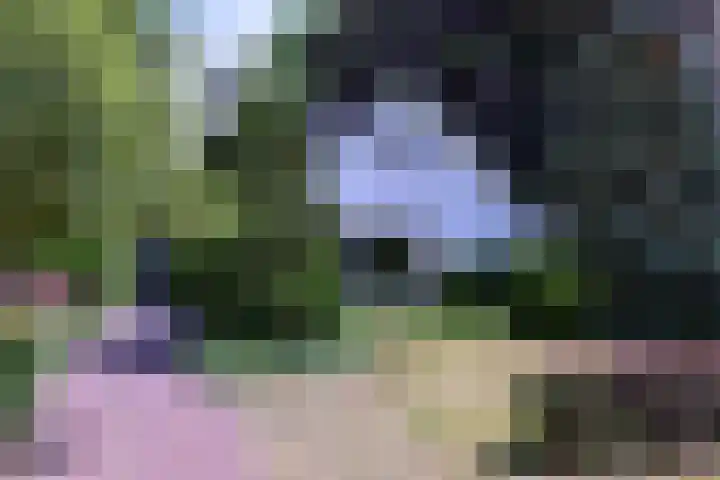 Westronde 7 in Gorssel