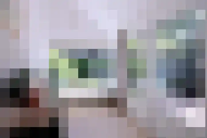 Westronde 7 Gorssel thumbnail 13