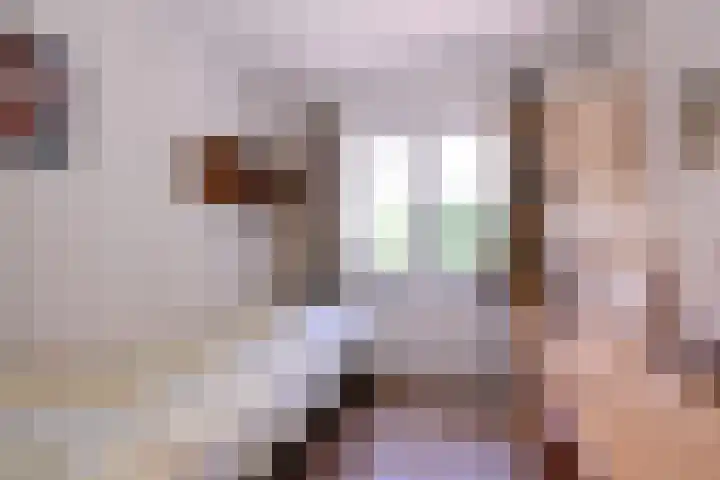 Westronde 7 Gorssel thumbnail 19