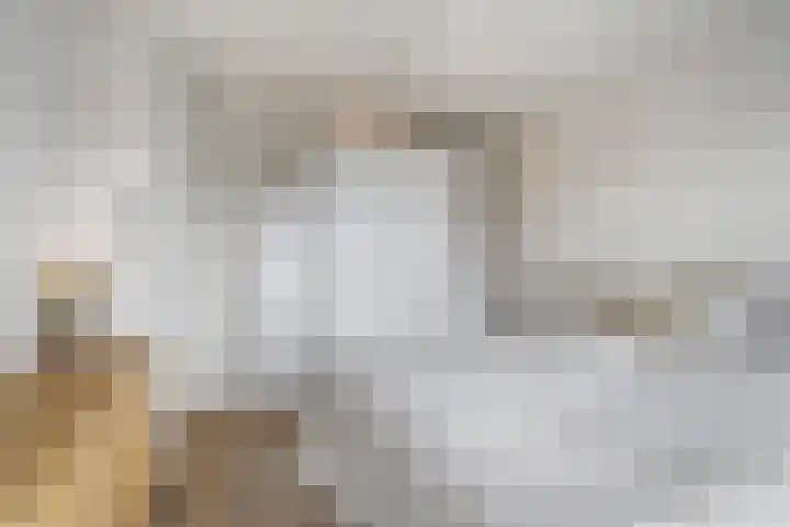 Westronde 7 Gorssel thumbnail 26