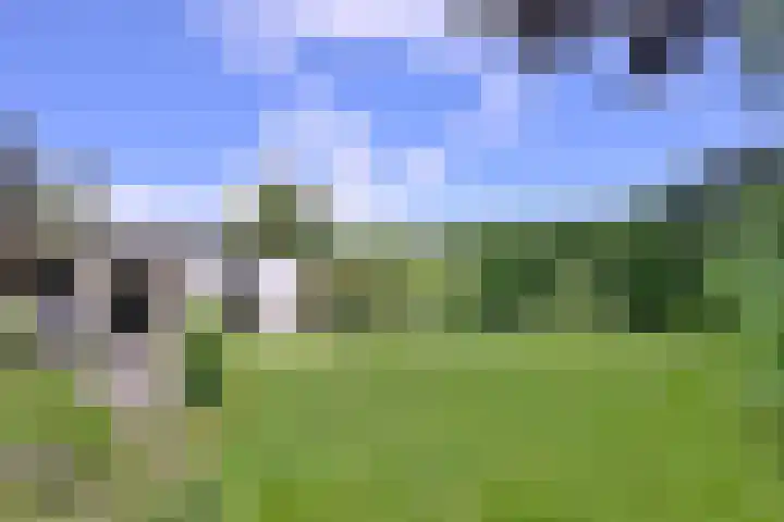 Westronde 7 Gorssel thumbnail 28