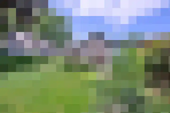 Westronde 7 Gorssel thumbnail 29