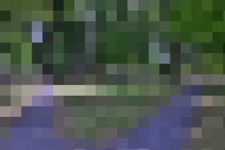 Westronde 7 Gorssel thumbnail 31