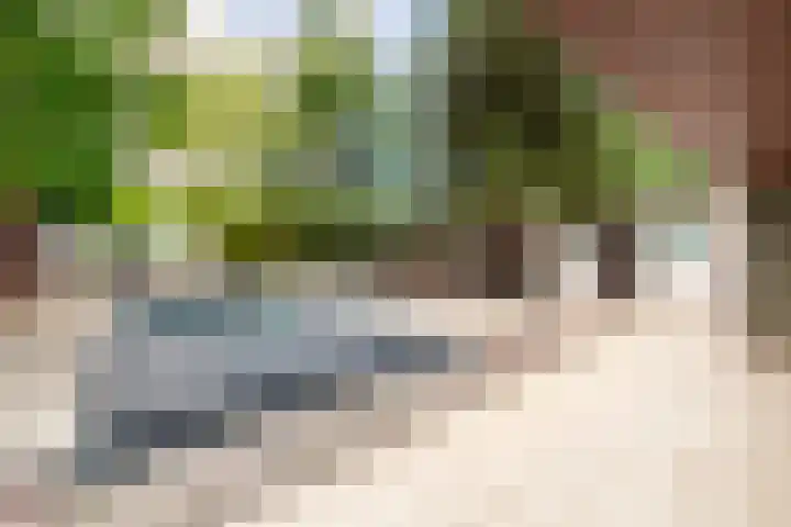 Westronde 7 Gorssel thumbnail 34
