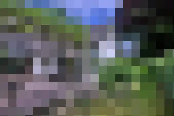 Westronde 7 Gorssel thumbnail 5
