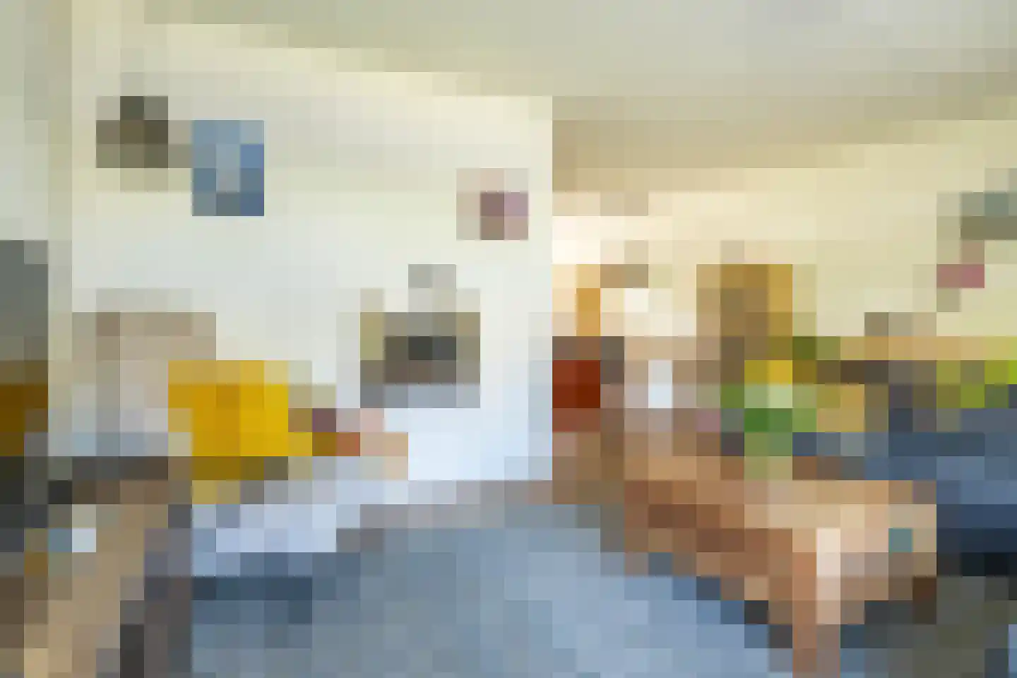 Westrup 5 Norg thumbnail 19