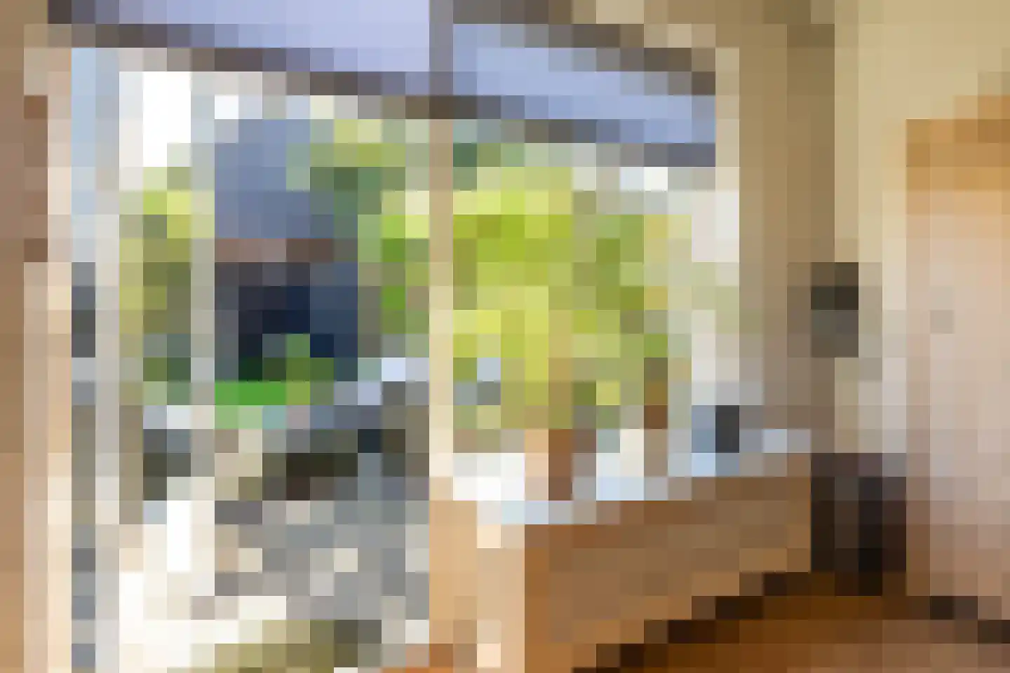 Westrup 5 Norg thumbnail 25