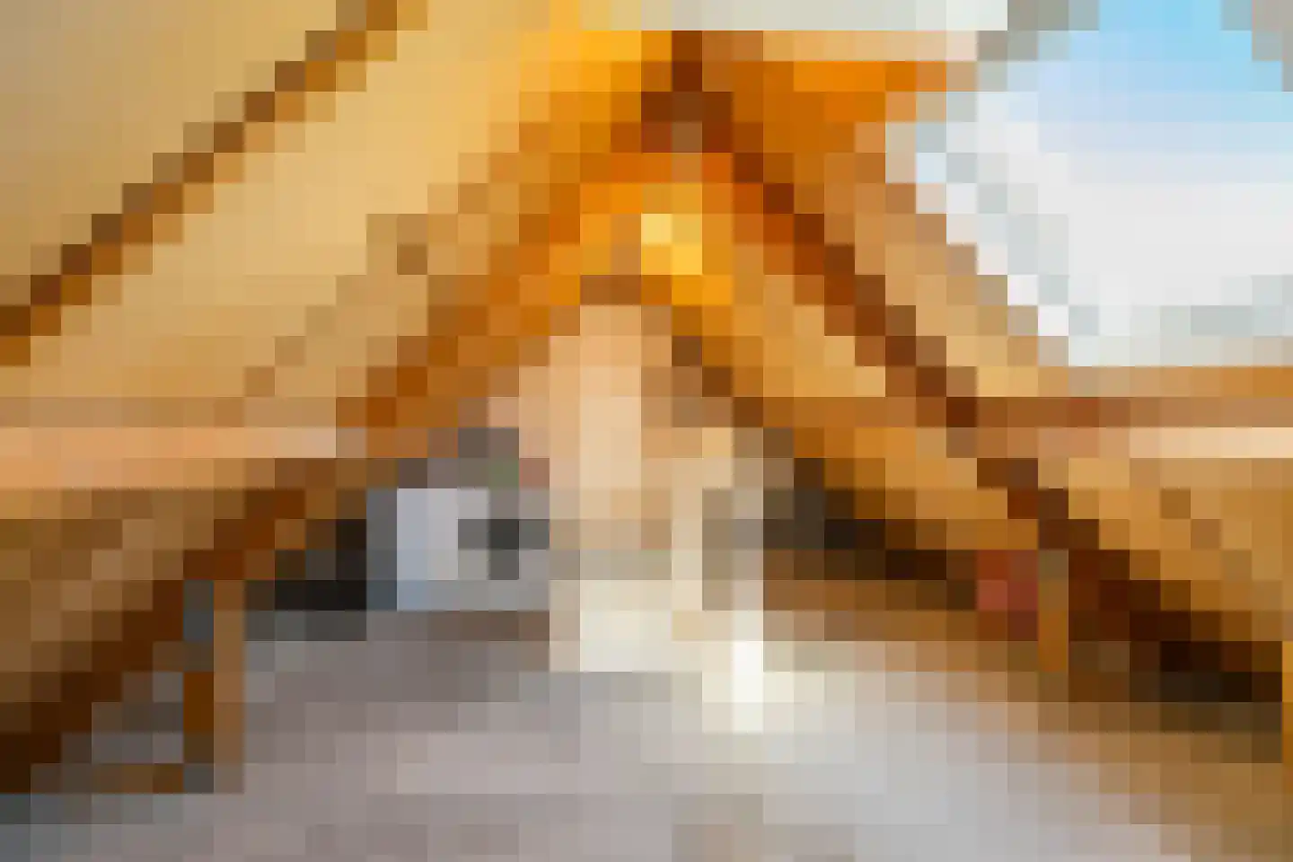 Westrup 5 Norg thumbnail 41