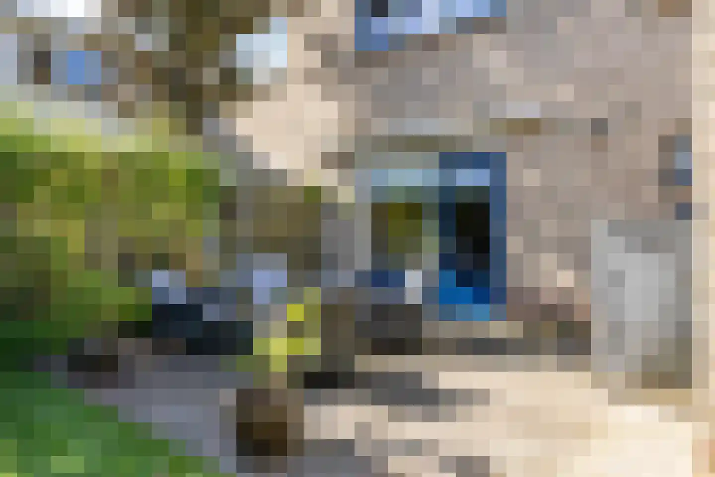 Westrup 5 Norg thumbnail 46