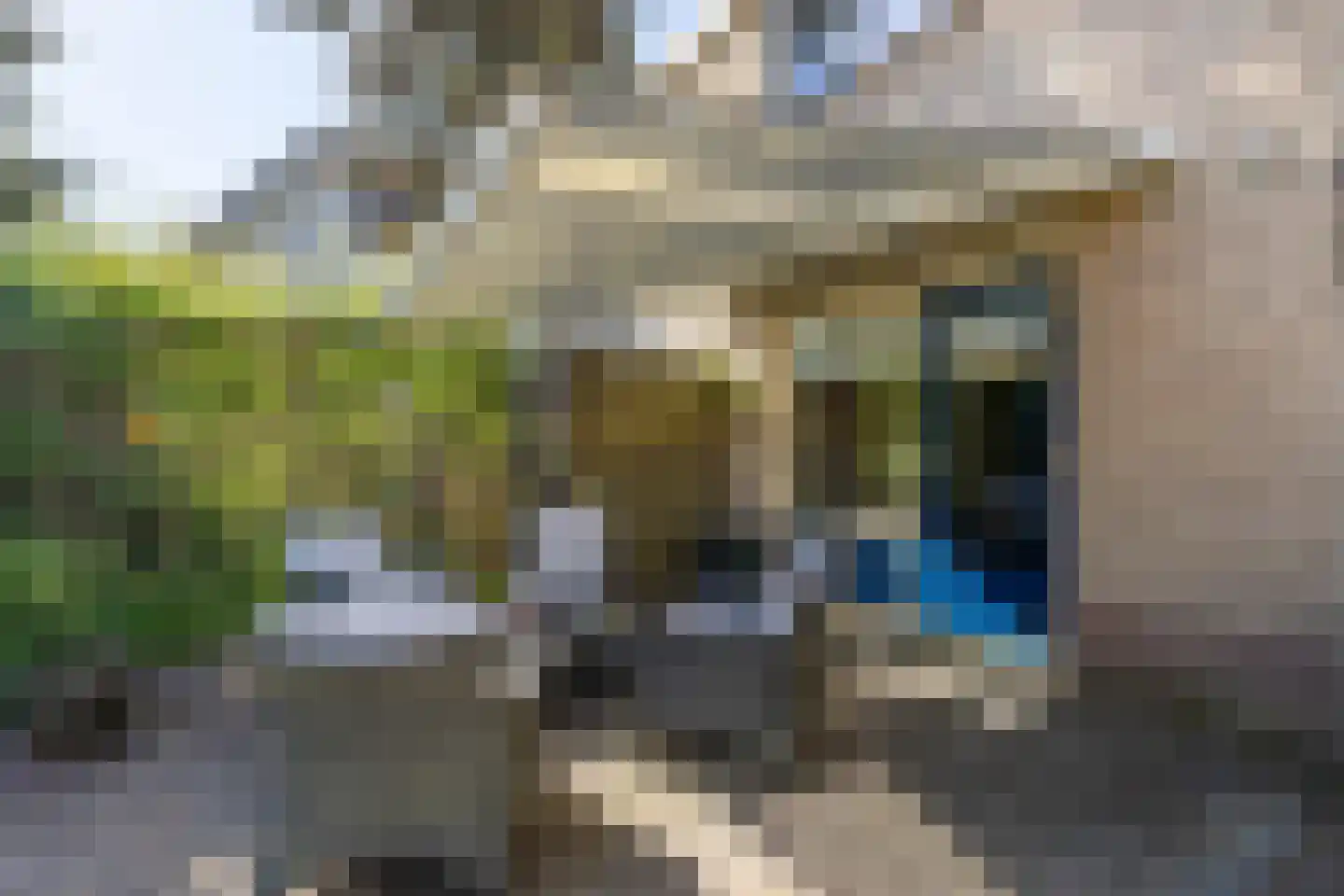 Westrup 5 Norg thumbnail 47