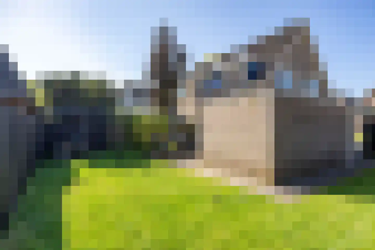 Westrup 5 Norg thumbnail 52