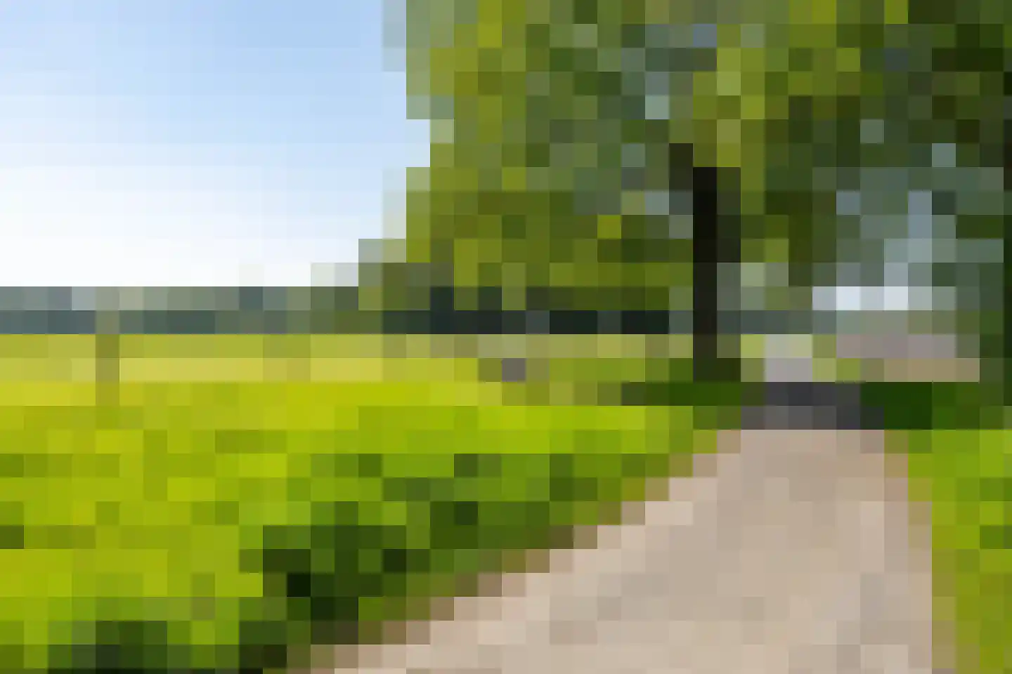 Westrup 5 Norg thumbnail 55