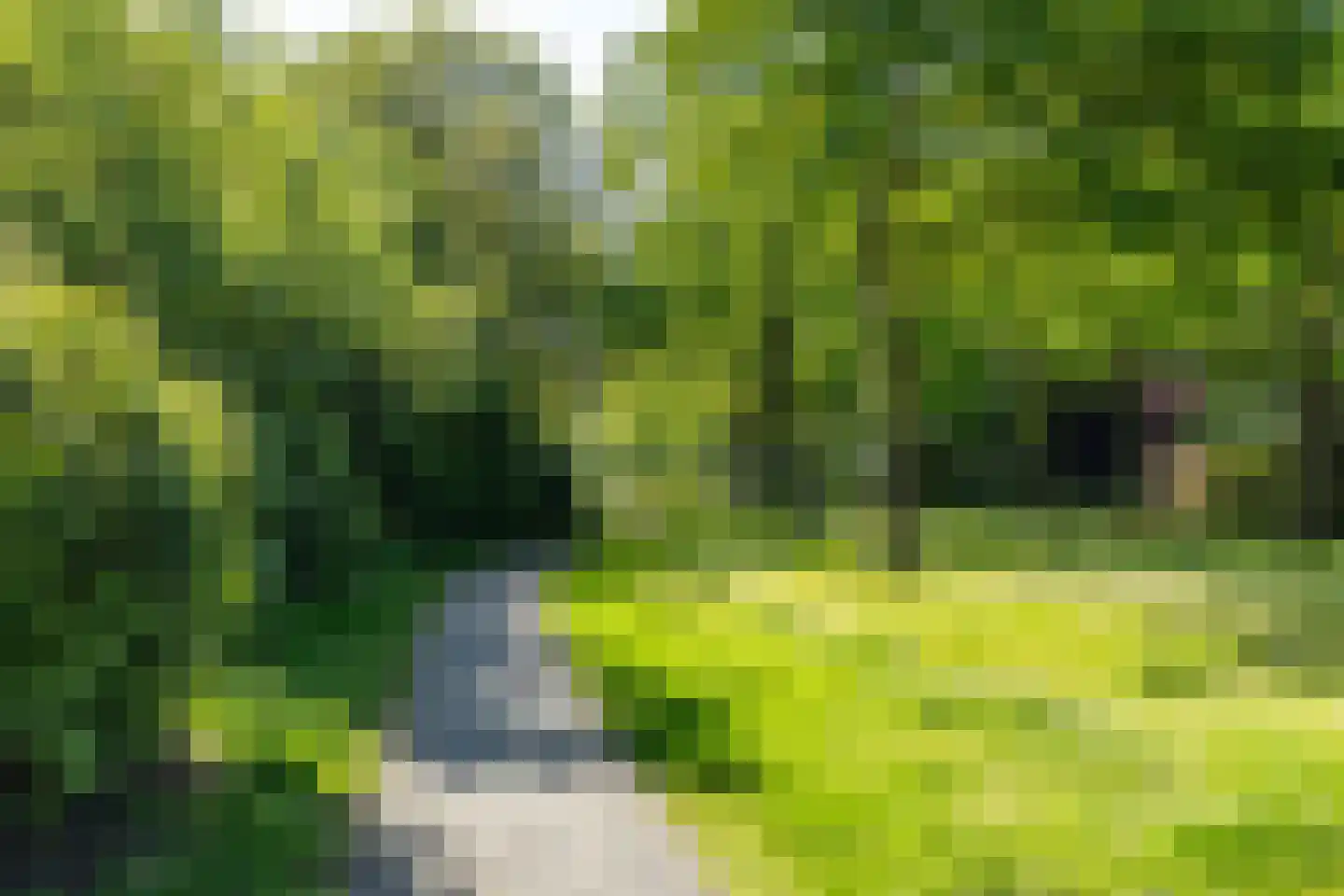 Westrup 5 Norg thumbnail 56
