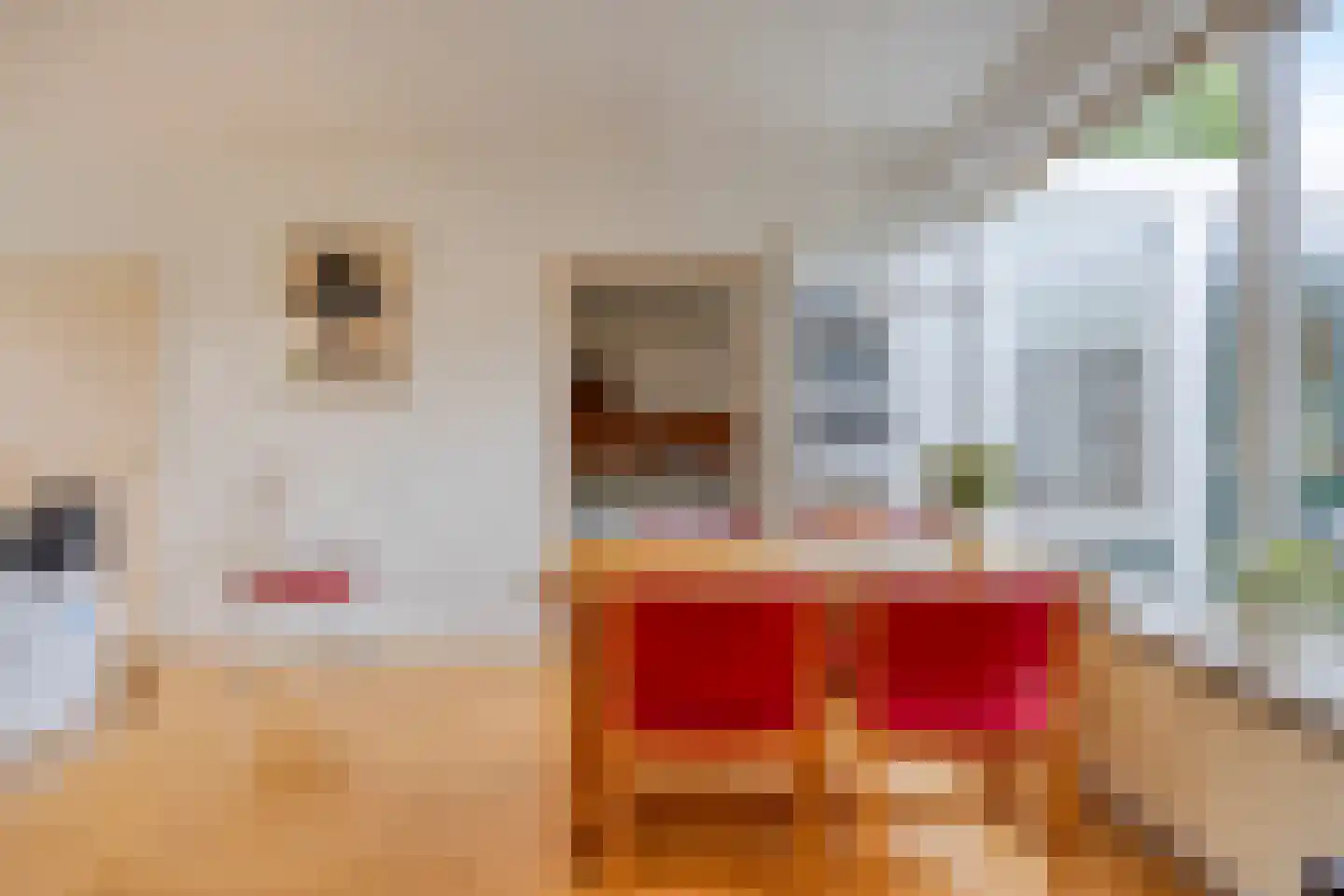 Westrupstraat 10 Assen thumbnail 13