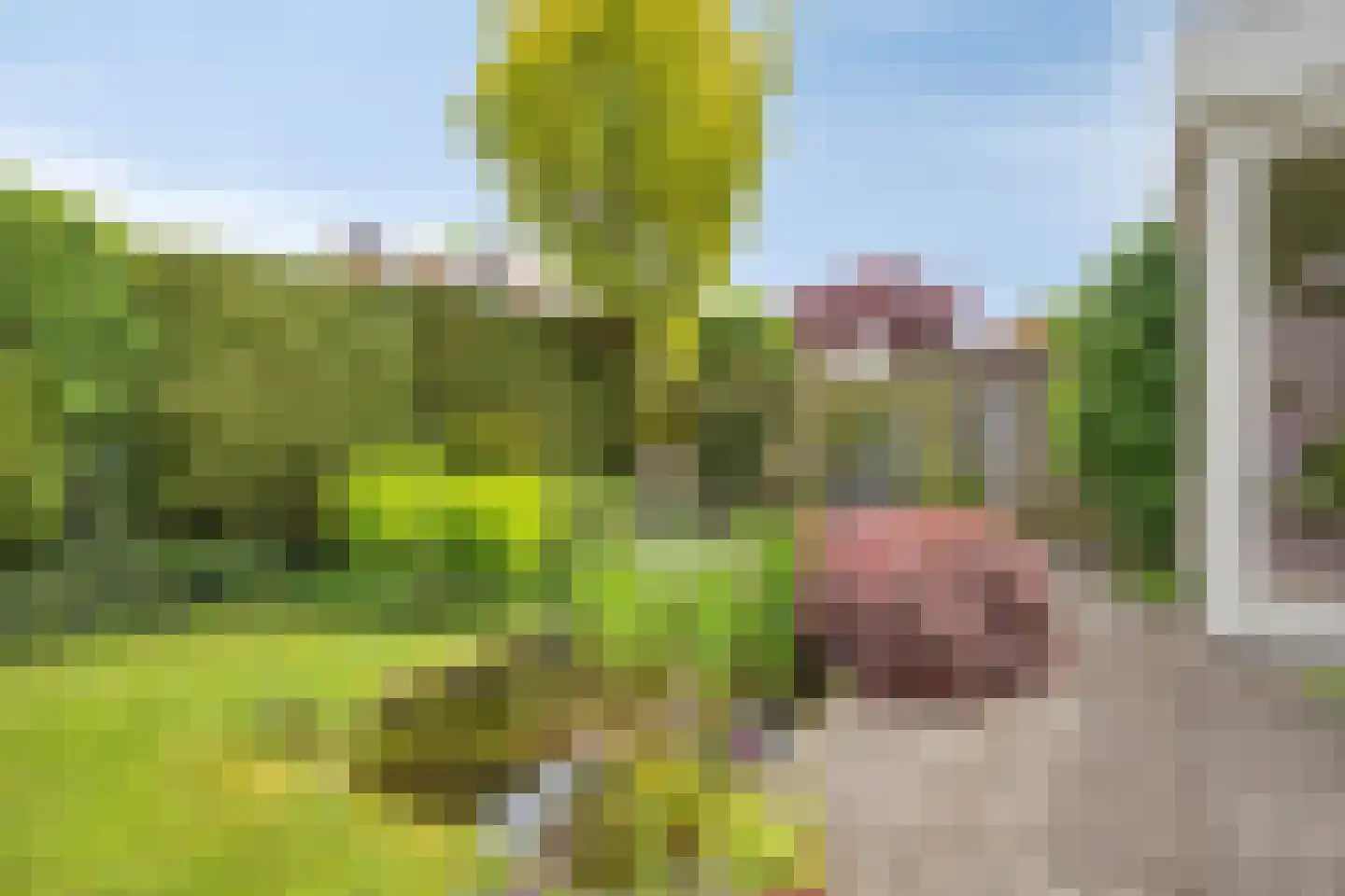 Westrupstraat 10 Assen thumbnail 44