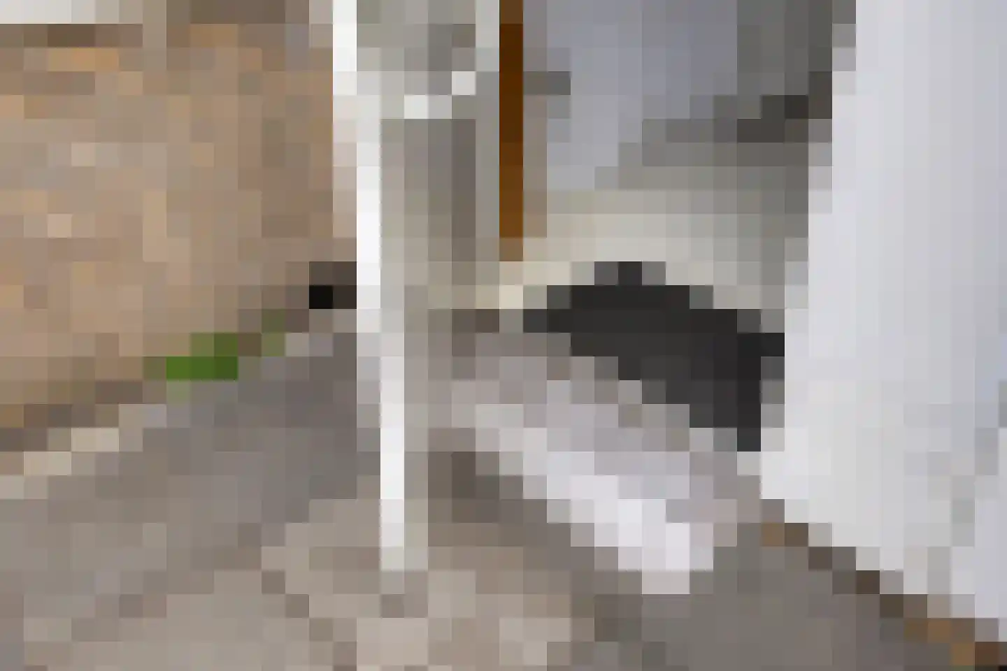 Westrupstraat 10 Assen thumbnail 49