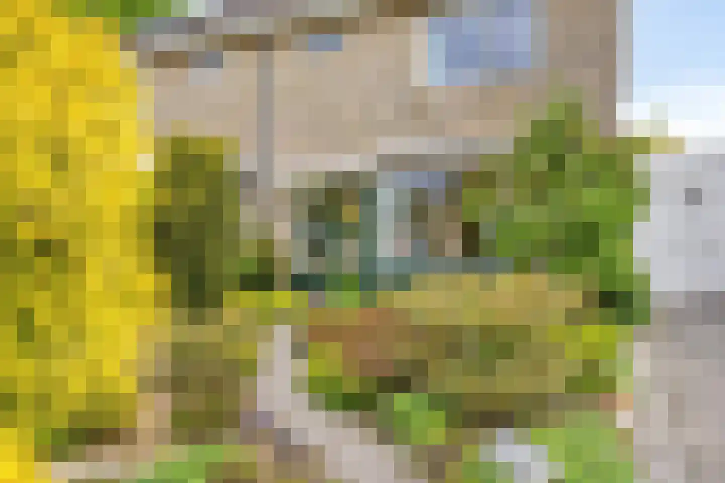 Westrupstraat 10 Assen thumbnail 7