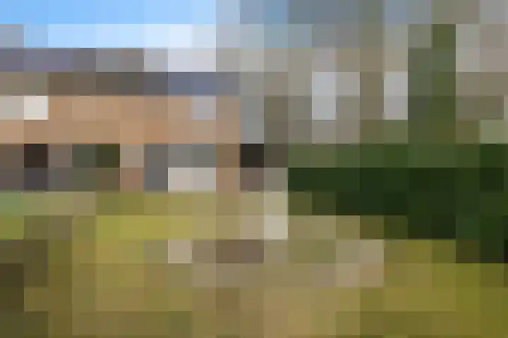 Westrupstraat 14 Assen thumbnail 10