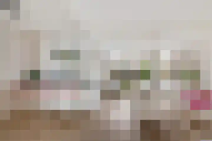 Westrupstraat 14 Assen thumbnail 18