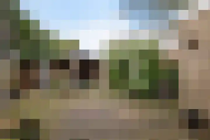 Westrupstraat 14 Assen thumbnail 4