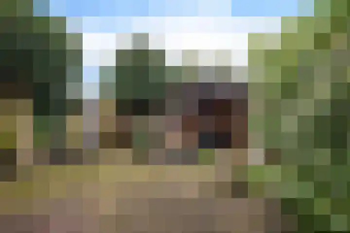 Westrupstraat 14 Assen thumbnail 41