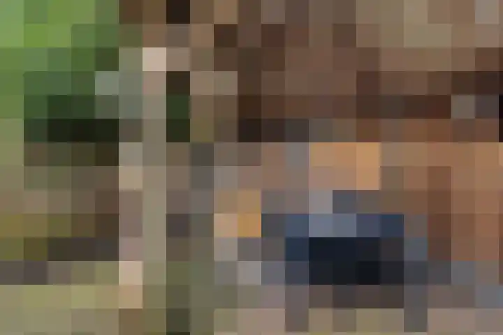 Westrupstraat 14 Assen thumbnail 42