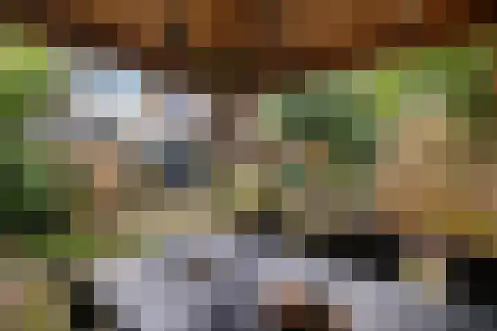 Westrupstraat 14 Assen thumbnail 43