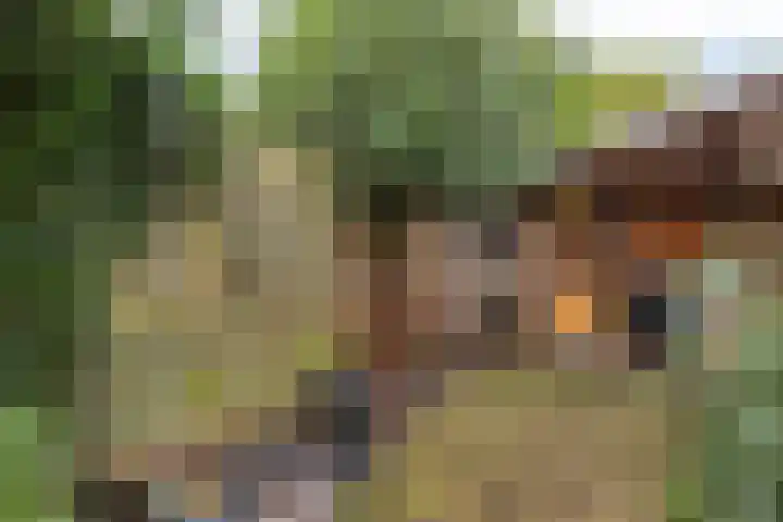 Westrupstraat 14 Assen thumbnail 45