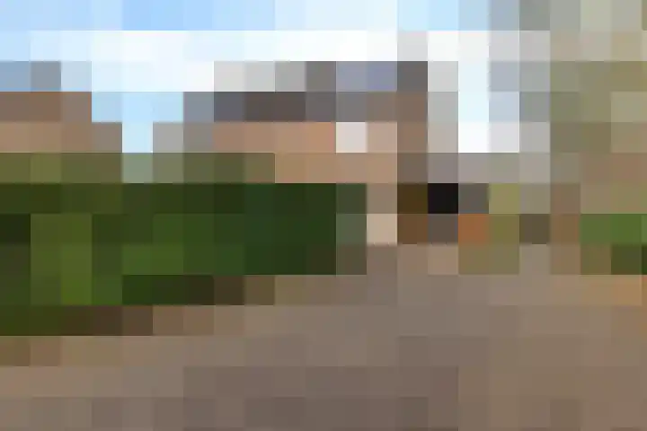 Westrupstraat 14 Assen thumbnail 8