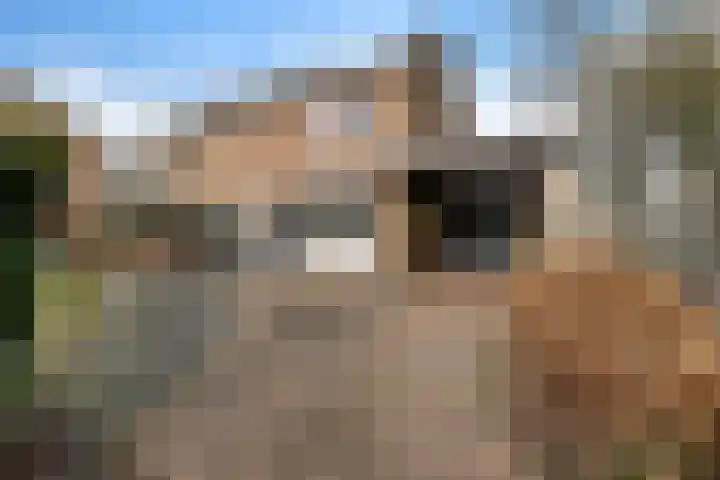 Westrupstraat 14 Assen thumbnail 9