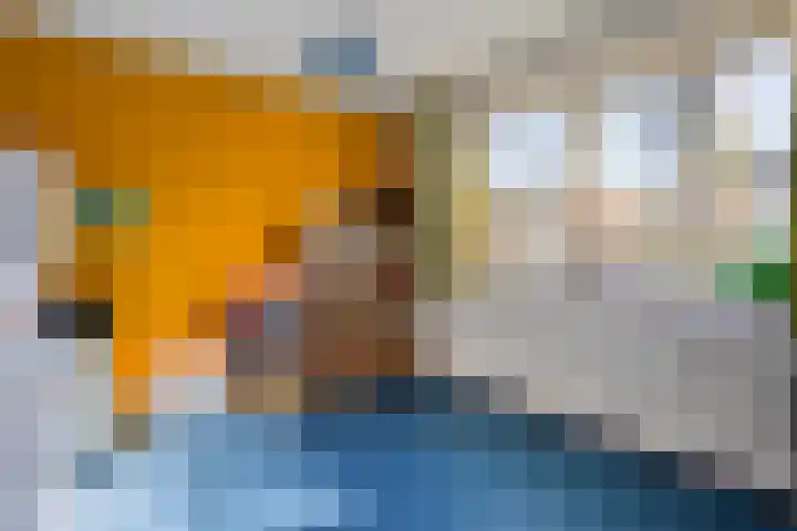 Westrupstraat 22 Assen thumbnail 20