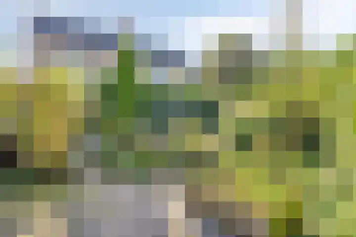 Westrupstraat 22 Assen thumbnail 31