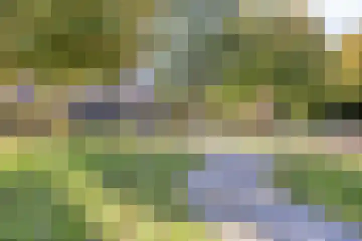 Westrupstraat 22 Assen thumbnail 34