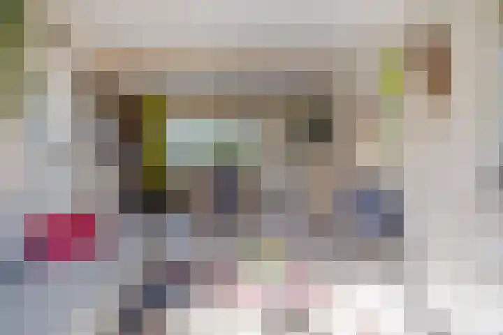 Westrupstraat 22 Assen thumbnail 7