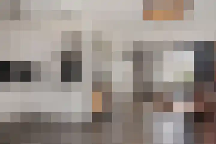 Westrupstraat 4 Assen thumbnail 10