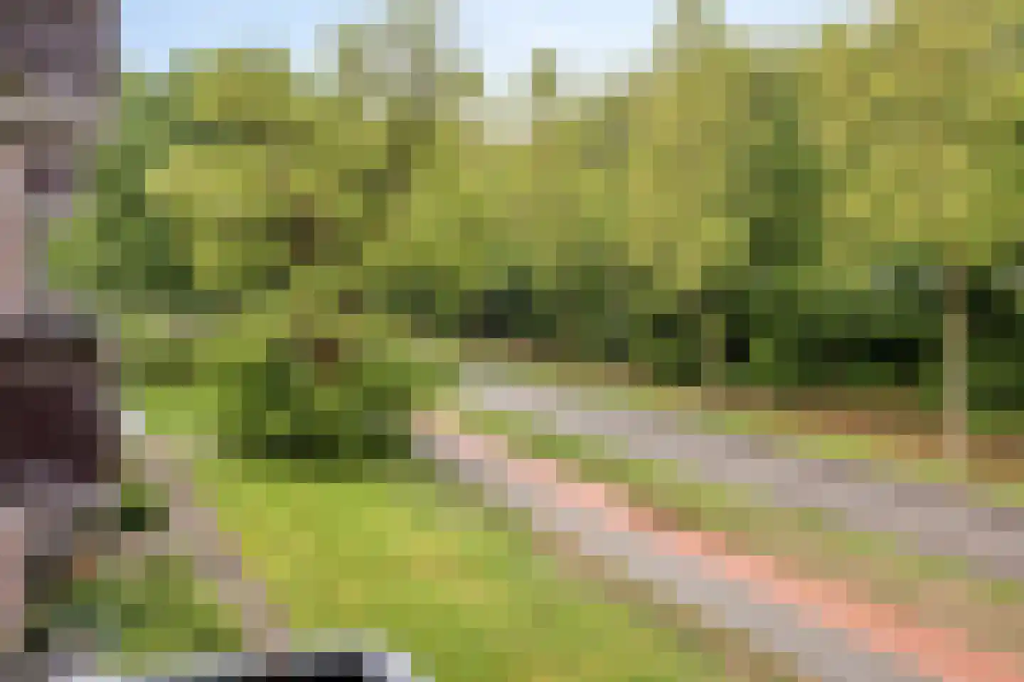 Westsingel 112 Venray thumbnail 22
