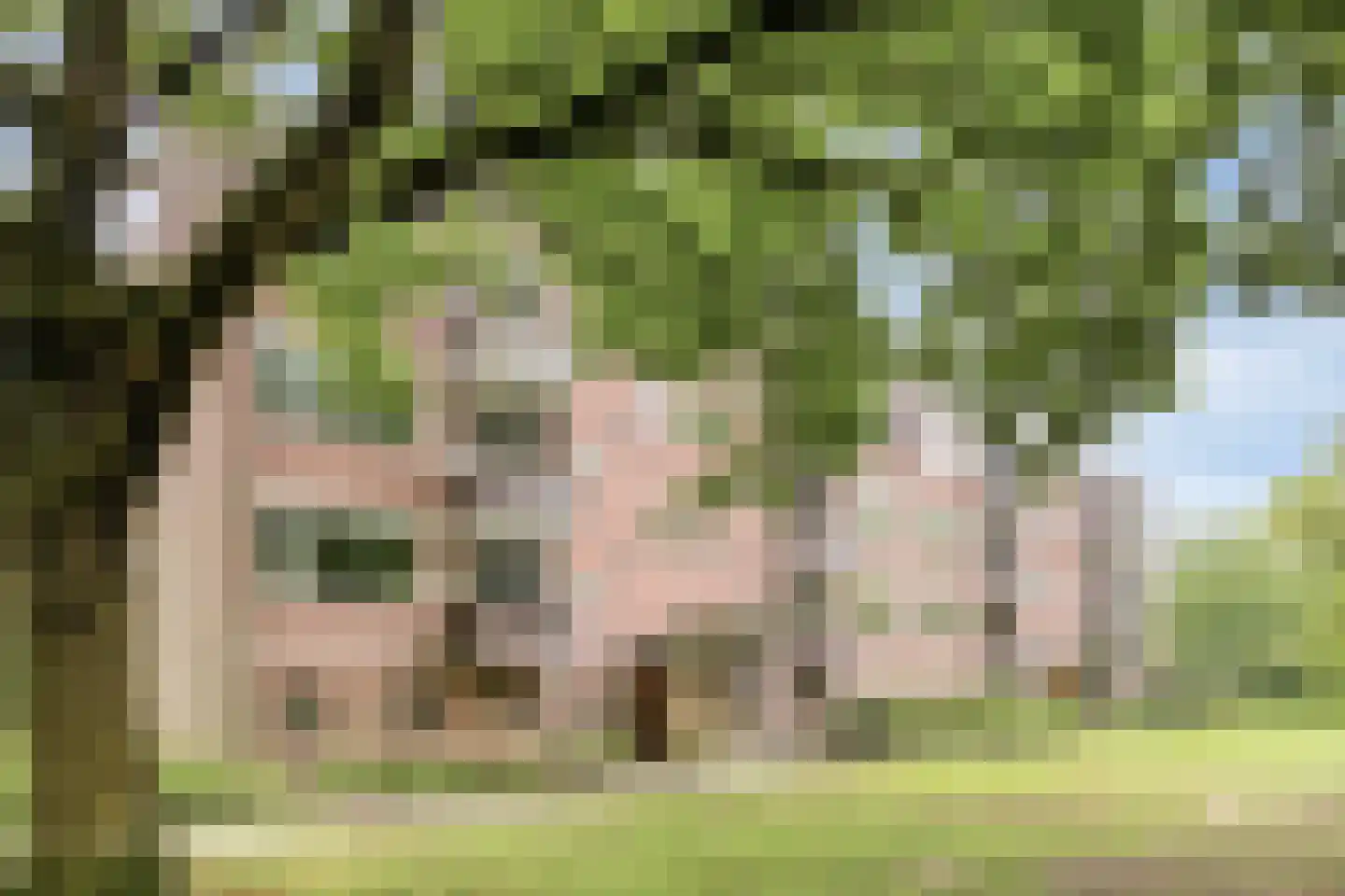 Westsingel 112 Venray thumbnail 4
