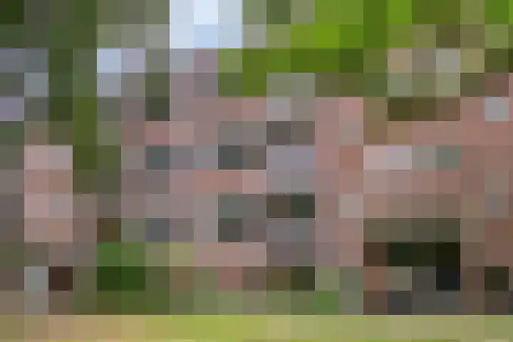 Westsingel 124 in Venray