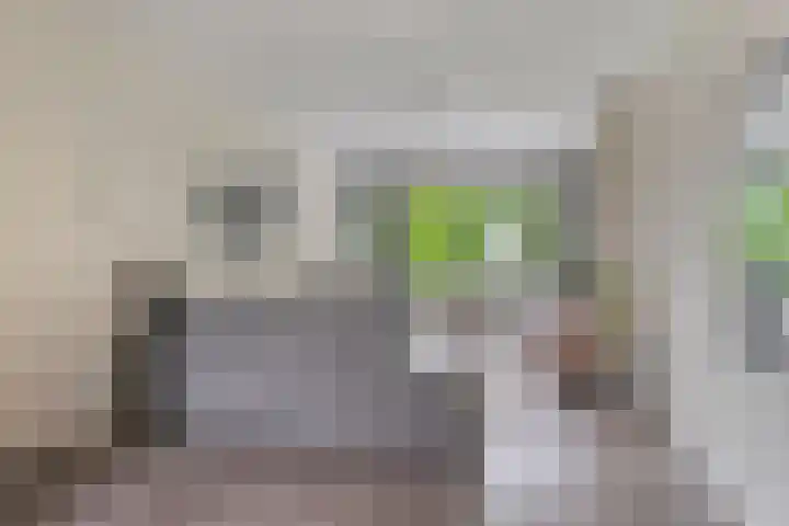Westsingel 124 Venray thumbnail 10