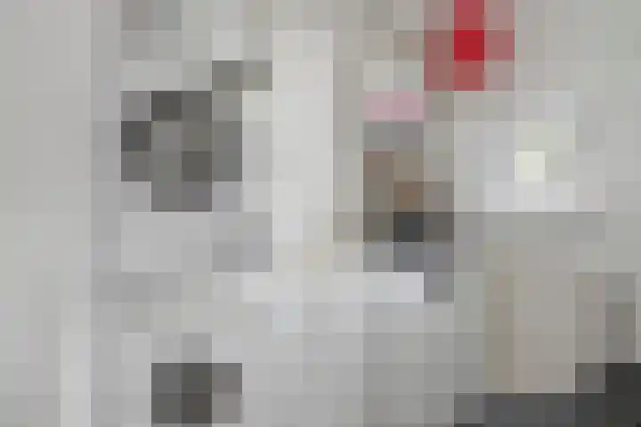 Westsingel 124 Venray thumbnail 18