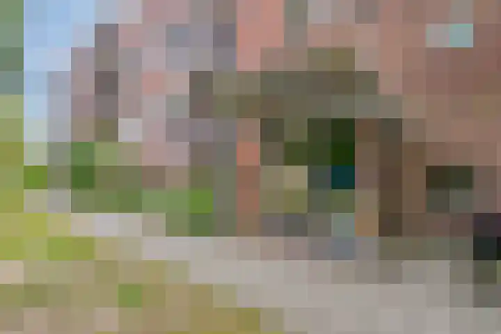 Westsingel 124 Venray thumbnail 5
