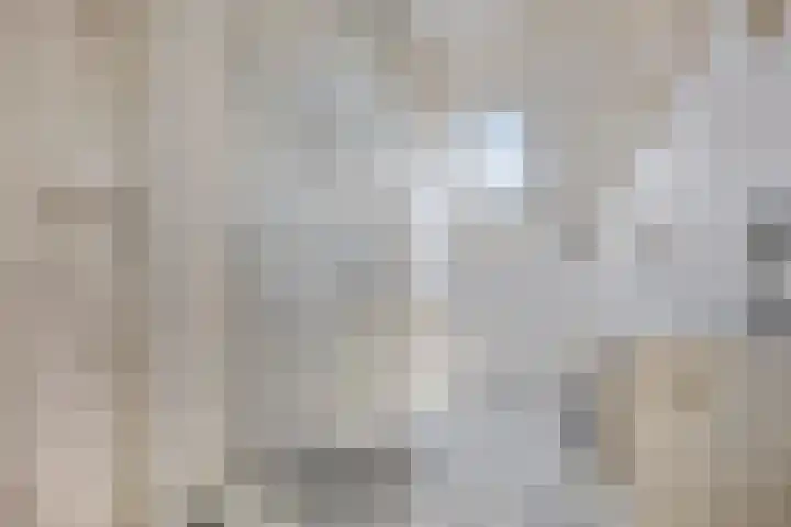 Westsingel 134 C Goes thumbnail 24