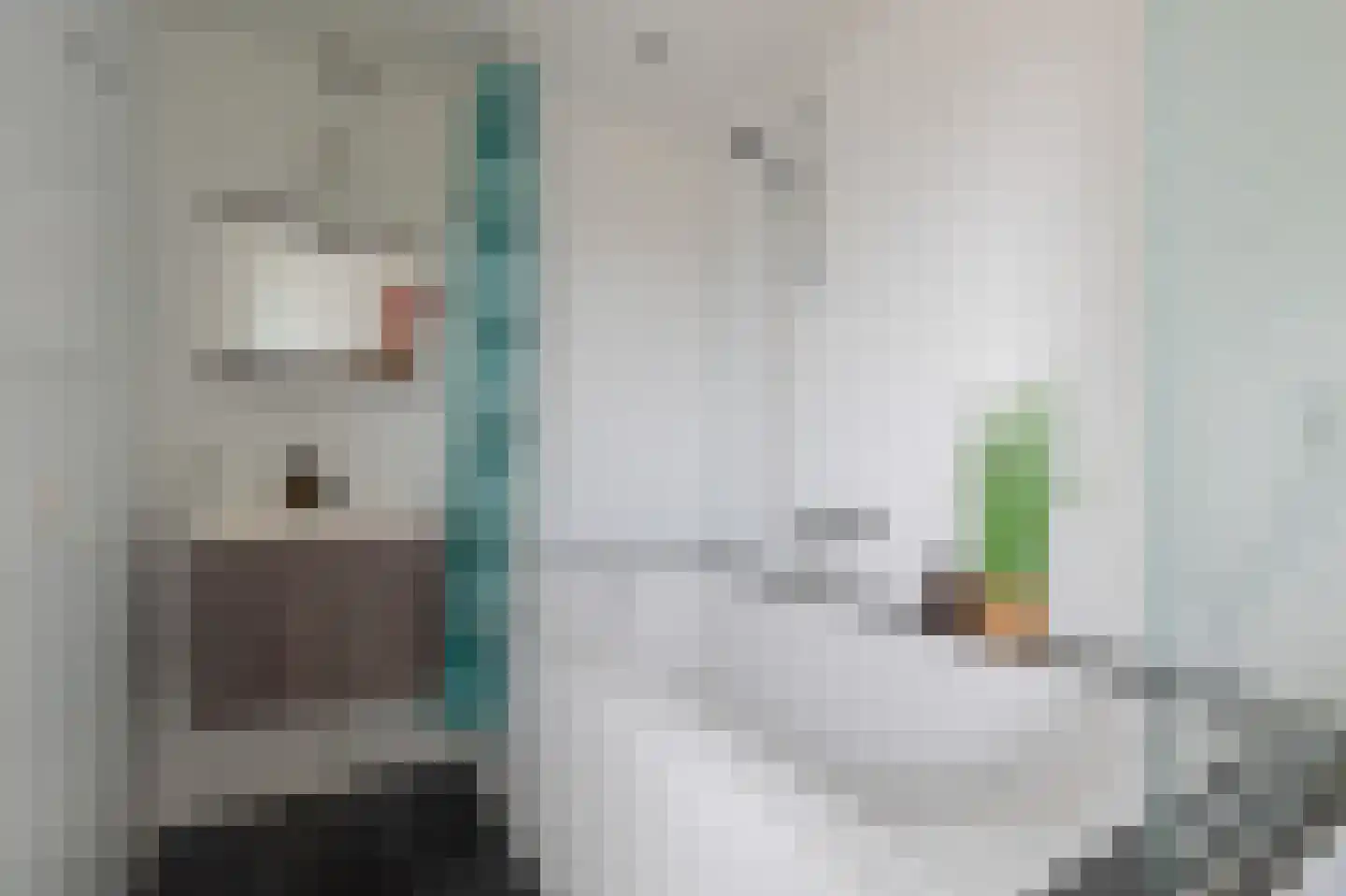 Westsingel 138 Venray thumbnail 28