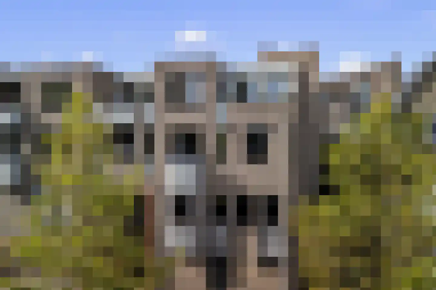 Westsingel 15 H Amersfoort thumbnail 48