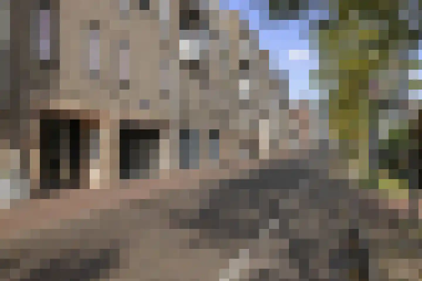 Westsingel 15 H Amersfoort thumbnail 51