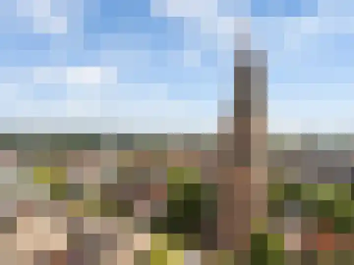 Westsingel 16 H Amersfoort thumbnail 30