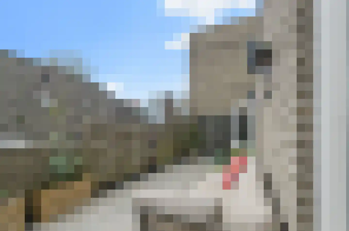Westsingel 16 N Amersfoort thumbnail 16