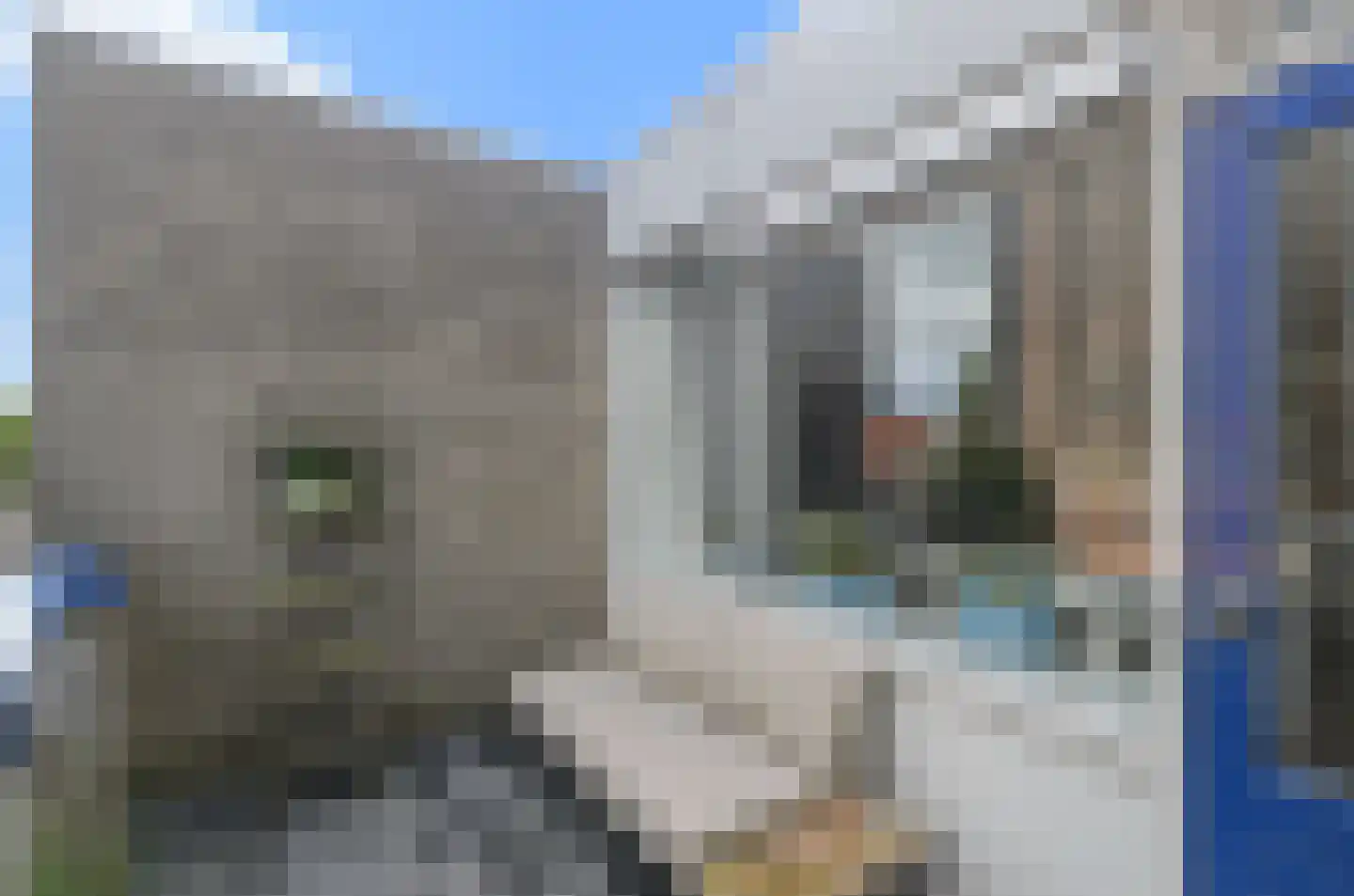 Westsingel 16 N Amersfoort thumbnail 28