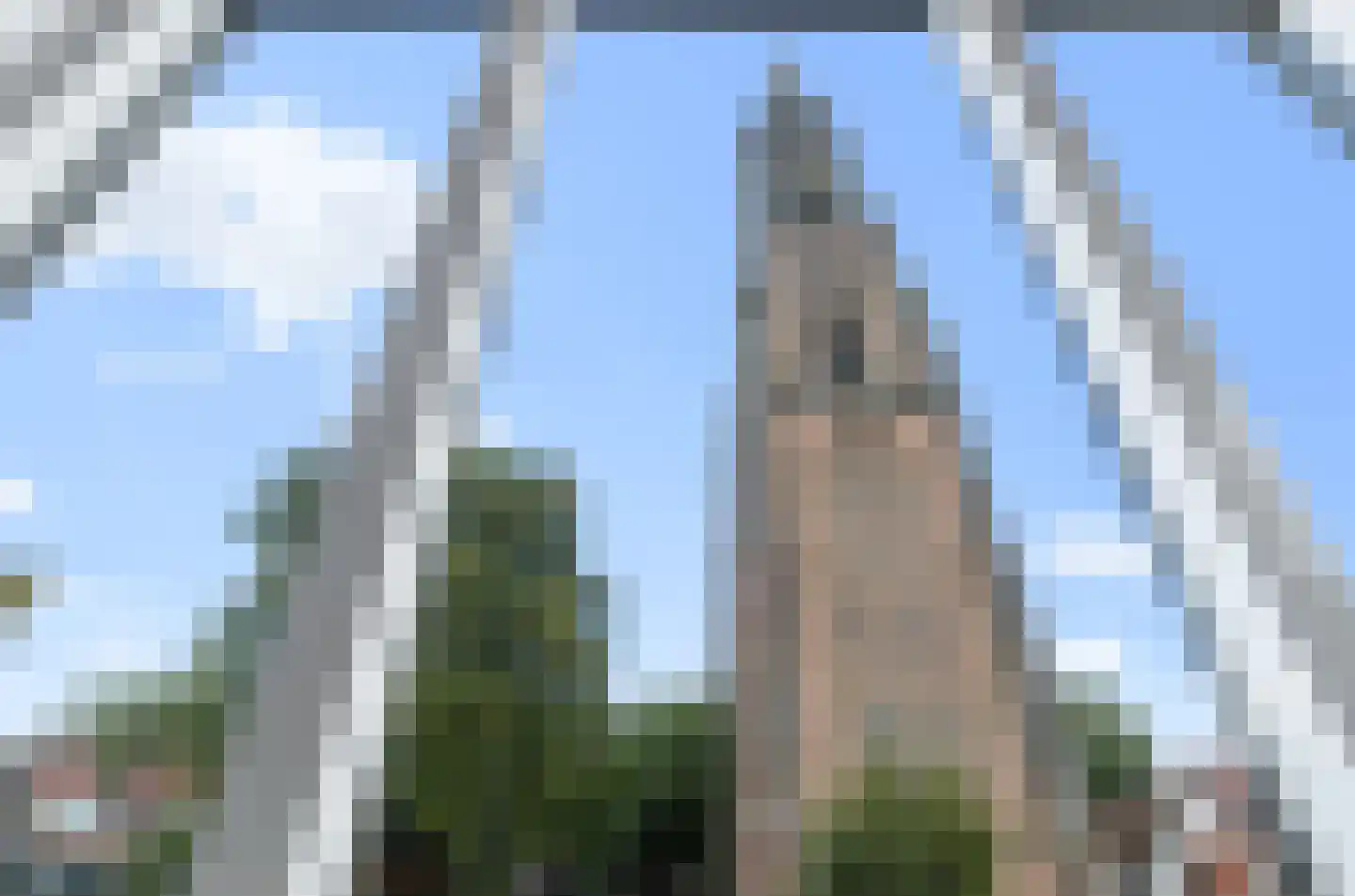 Westsingel 16 N Amersfoort thumbnail 9