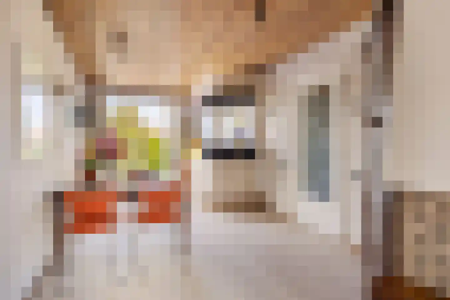 Westsingel 24 Oudewater thumbnail 10